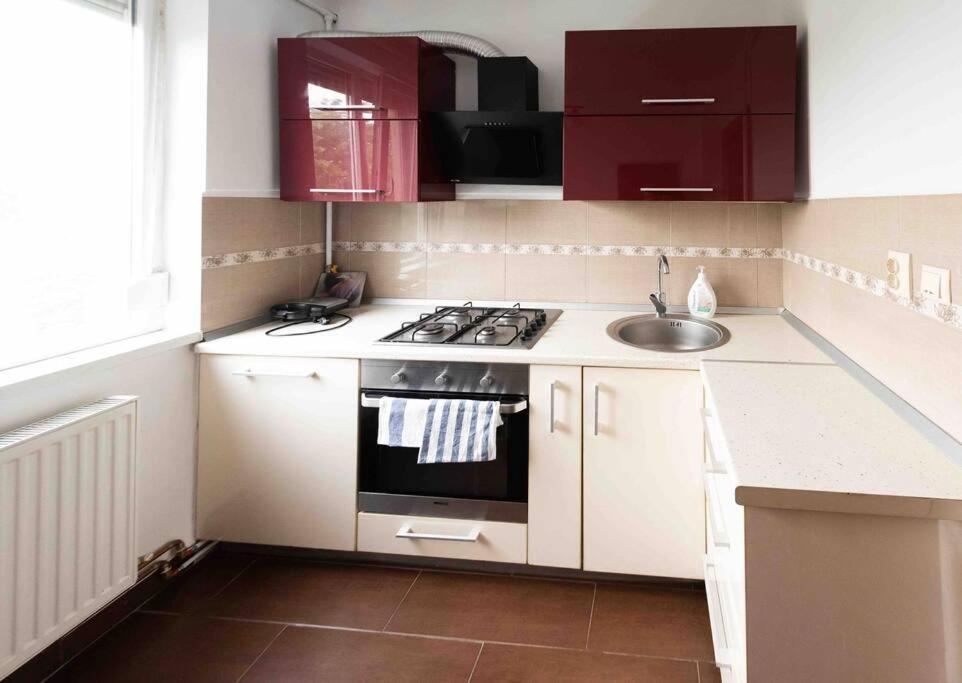 Apartament Timisoara Apartment Exterior photo